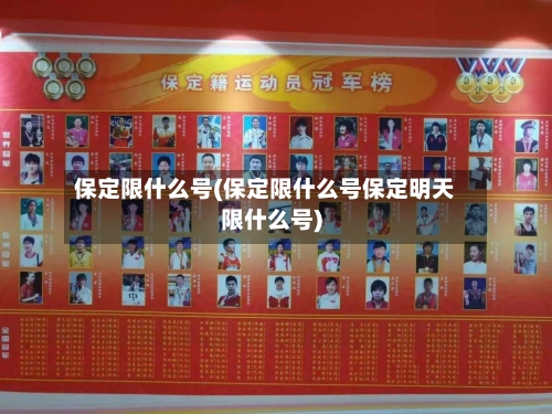 保定限什么号(保定限什么号保定明天限什么号)