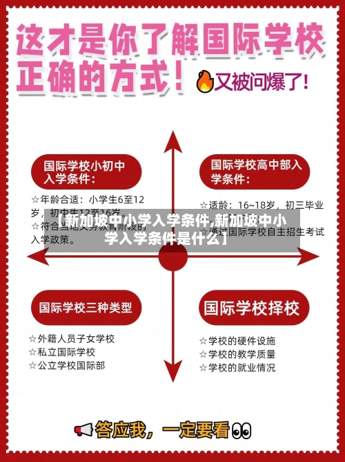 【新加坡中小学入学条件,新加坡中小学入学条件是什么】-第2张图片