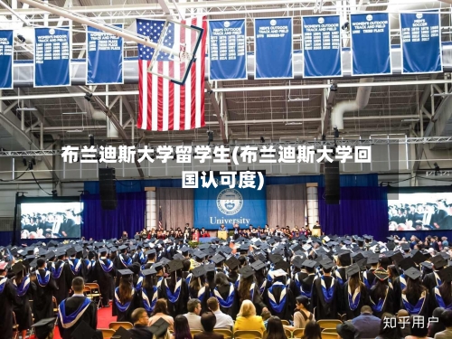 布兰迪斯大学留学生(布兰迪斯大学回国认可度)-第2张图片