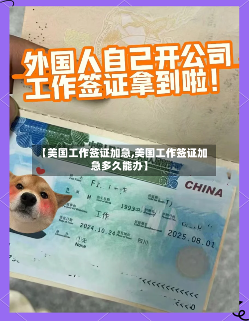 【美国工作签证加急,美国工作签证加急多久能办】-第2张图片