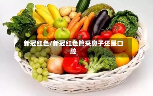 新冠红色/新冠红色管采鼻子还是口腔-第3张图片