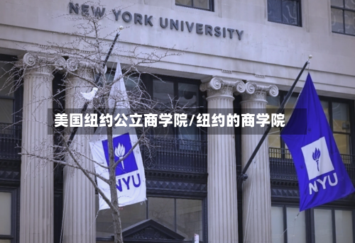 美国纽约公立商学院/纽约的商学院