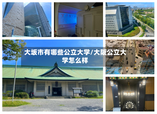 大坂市有哪些公立大学/大阪公立大学怎么样-第2张图片