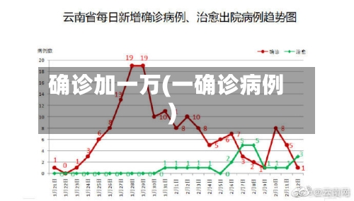 确诊加一万(一确诊病例)-第3张图片