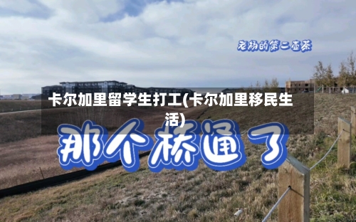 卡尔加里留学生打工(卡尔加里移民生活)-第2张图片