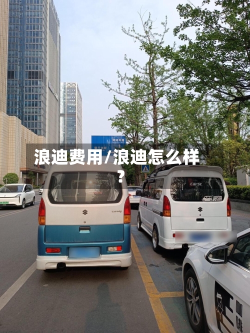 浪迪费用/浪迪怎么样?