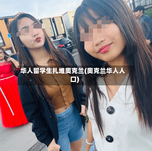 华人留学生扎堆奥克兰(奥克兰华人人口)
