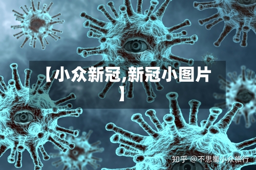【小众新冠,新冠小图片】