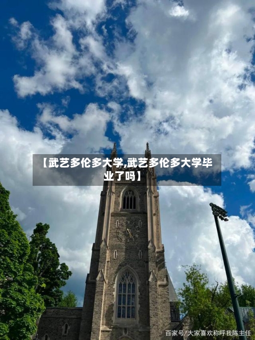 【武艺多伦多大学,武艺多伦多大学毕业了吗】-第3张图片