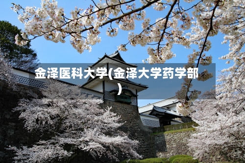 金泽医科大学(金泽大学药学部)-第3张图片