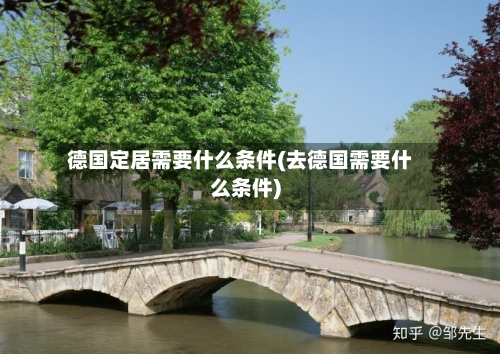 德国定居需要什么条件(去德国需要什么条件)-第3张图片