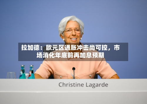 拉加德：欧元区通胀冲击尚可控，市场消化年底前再加息预期-第3张图片