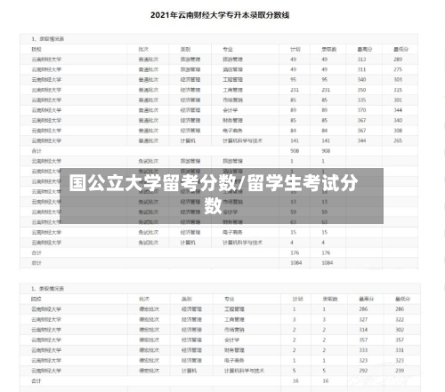 国公立大学留考分数/留学生考试分数