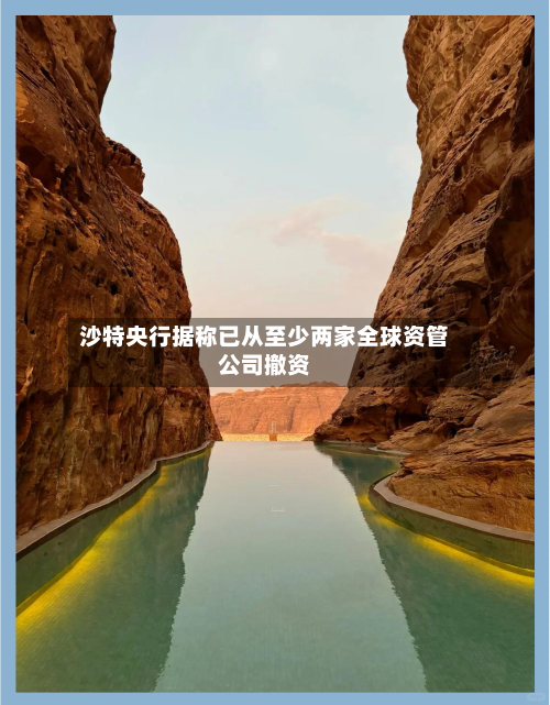 沙特央行据称已从至少两家全球资管公司撤资-第3张图片
