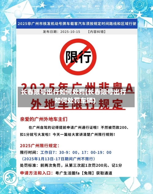 长春限号出行如何处罚(长春限号出行如何处罚车辆)